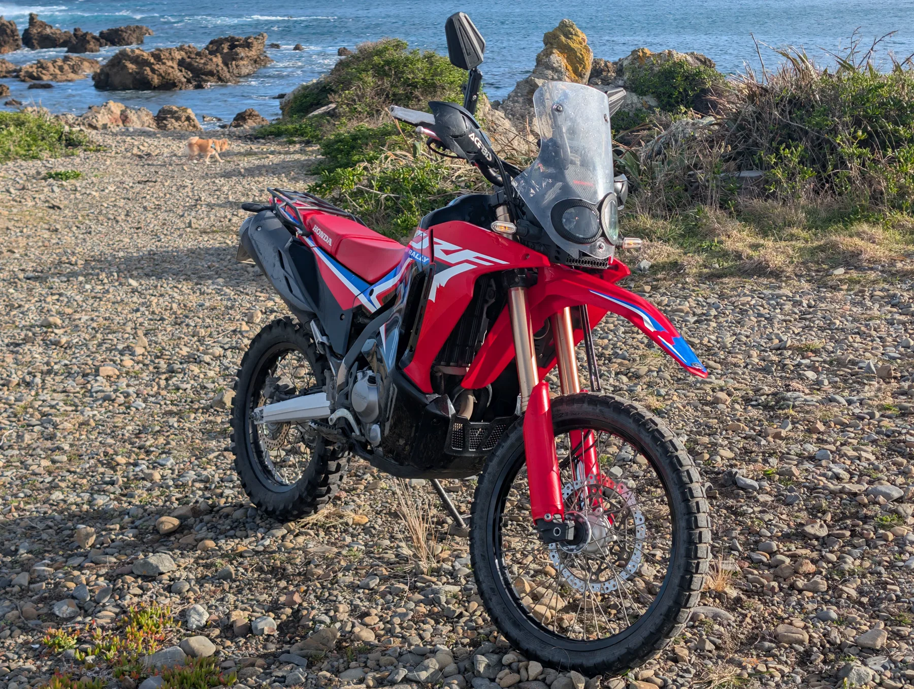 Honda CRF300 Rally photo 10